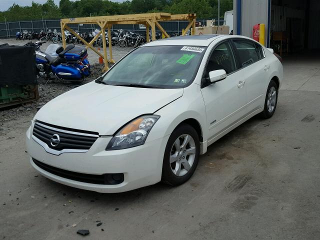 1N4CL21E18C207555 - 2008 NISSAN ALTIMA HYB WHITE photo 2