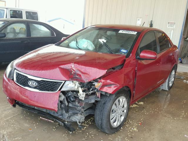 KNAFU4A29C5585249 - 2012 KIA FORTE EX RED photo 2