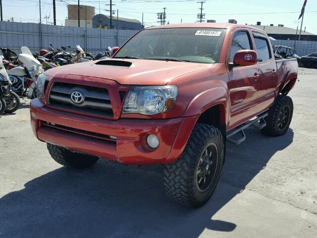 3TMMU52NX9M007866 - 2009 TOYOTA TACOMA DOU RED photo 2