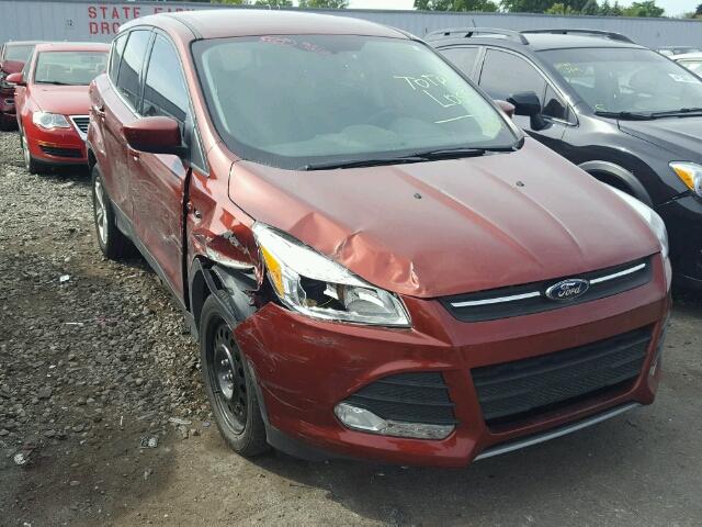 1FMCU0G76GUA18828 - 2016 FORD ESCAPE SE ORANGE photo 1