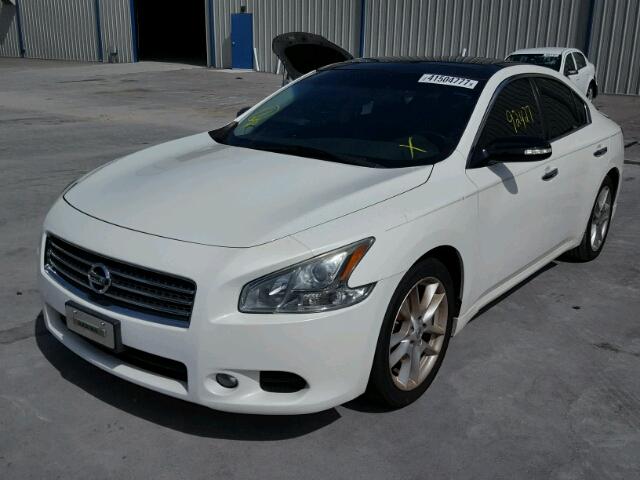 1N4AA5AP0AC842403 - 2010 NISSAN MAXIMA S WHITE photo 2