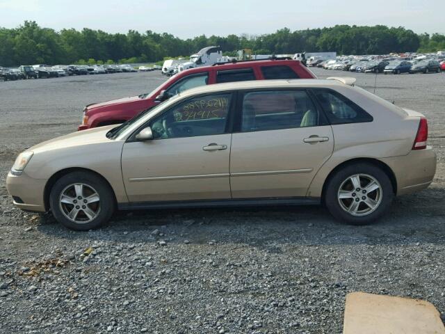 1G1ZT62865F307190 - 2005 CHEVROLET MALIBU MAX 金色 照片 9