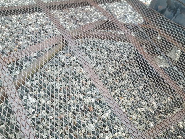 TRA1LER41557268 - 2000 UTILITY TRAILER BLACK photo 9