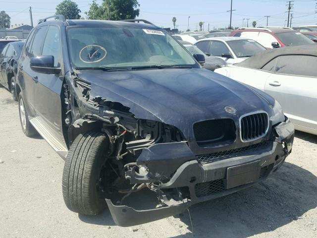 5UXFE43529L038317 - 2009 BMW X5 XDRIVE3 Կապույտ լուսանկար 1