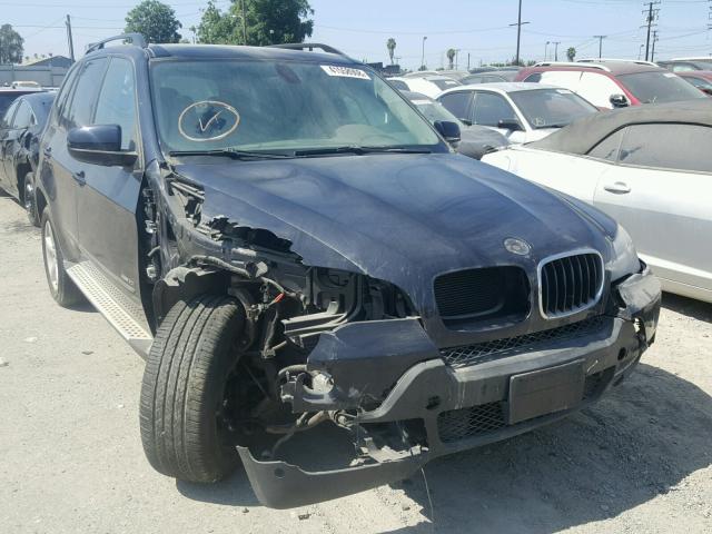 5UXFE43529L038317 - 2009 BMW X5 XDRIVE3 BLUE photo 1