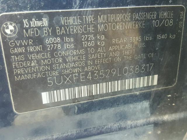 5UXFE43529L038317 - 2009 BMW X5 XDRIVE3 Կապույտ լուսանկար 10