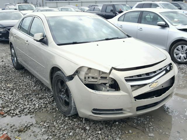 1G1ZC5EB6AF142981 - 2010 CHEVROLET MALIBU 1LT GOLD photo 1