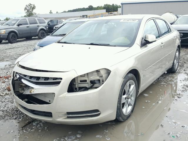1G1ZC5EB6AF142981 - 2010 CHEVROLET MALIBU 1LT GOLD photo 2