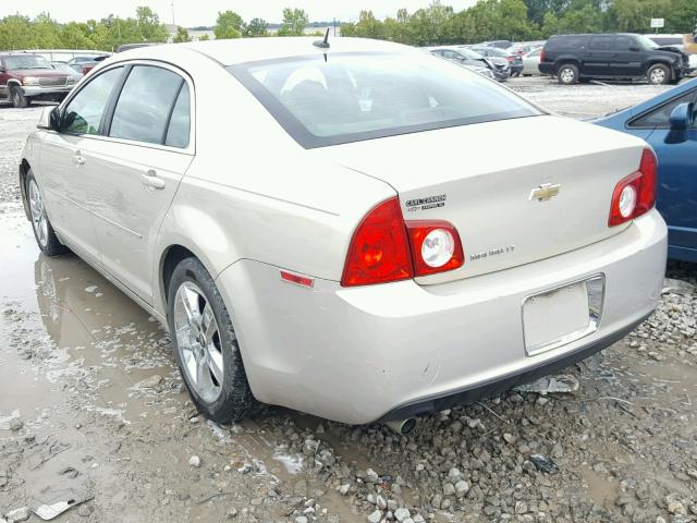 1G1ZC5EB6AF142981 - 2010 CHEVROLET MALIBU 1LT GOLD photo 3