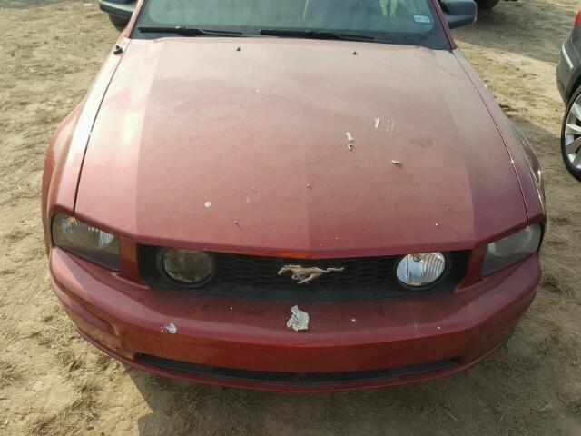 1ZVFT82H755229852 - 2005 FORD MUSTANG RED photo 7