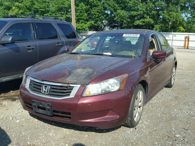 1HGCP2F86AA034328 - 2010 HONDA ACCORD EXL BURGUNDY photo 2