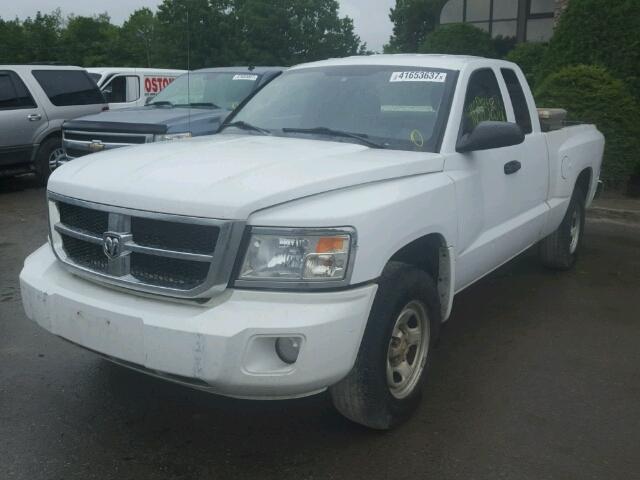 1D7RE2BK9BS701202 - 2011 DODGE DAKOTA ST WHITE photo 2