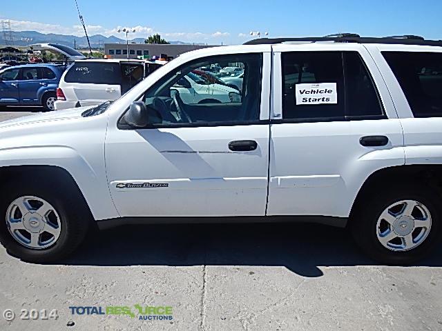 1GNDT13S322291250 - 2002 CHEVROLET TRAILBLAZE WHITE photo 10