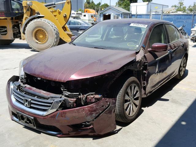 1HGCR2F84DA194996 - 2013 HONDA ACCORD EXL BURGUNDY photo 2