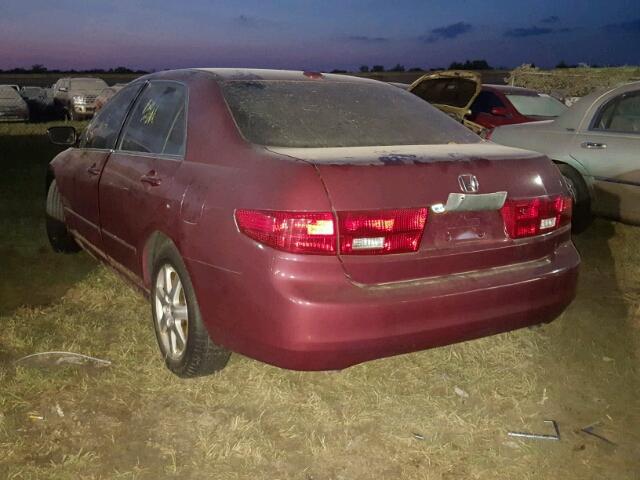 1HGCM66535A021161 - 2005 HONDA ACCORD RED photo 3