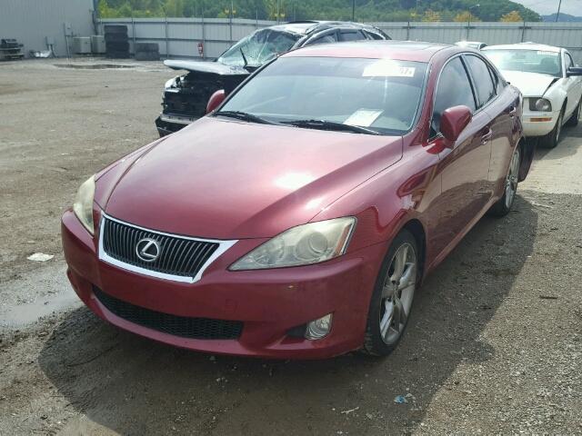 JTHBK262592090625 - 2009 LEXUS IS RED photo 2