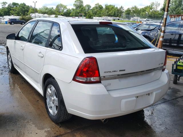 1G1ZU648X4F207800 - 2004 CHEVROLET MALIBU MAX 白色 照片 3