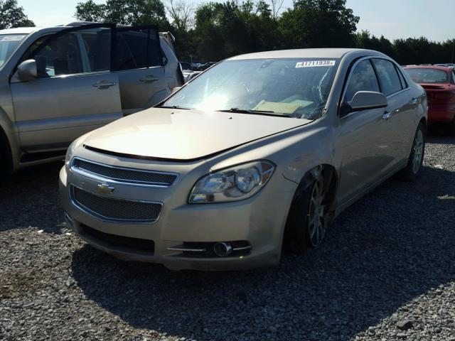1G1ZE5EU0BF369399 - 2011 CHEVROLET MALIBU LTZ 金色 照片 2