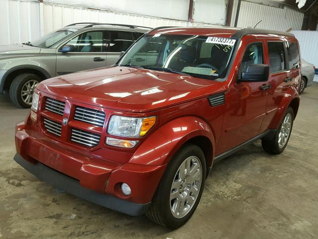 1D4PU4GX1BW501091 - 2011 DODGE NITRO RED photo 2