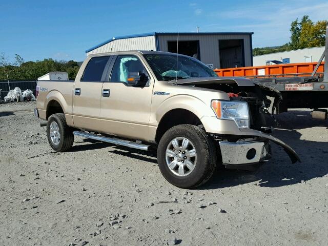 1FTFW1EF3BFA29598 - 2011 FORD F150 SUPER GOLD photo 1