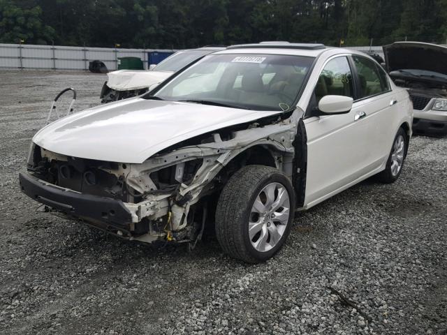 1HGCP36858A042310 - 2008 HONDA ACCORD EXL WHITE photo 2