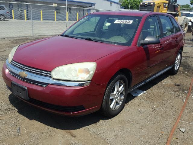 1G1ZT62864F229119 - 2004 CHEVROLET MALIBU MAX წითელი ფოტო 2