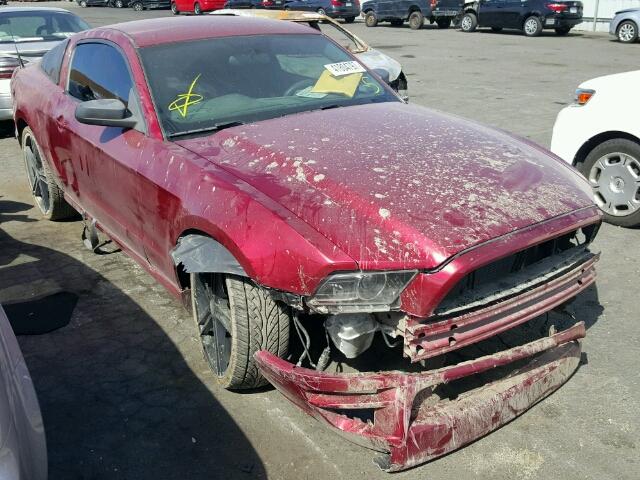 1ZVBP8AM7E5281256 - 2014 FORD MUSTANG RED photo 1