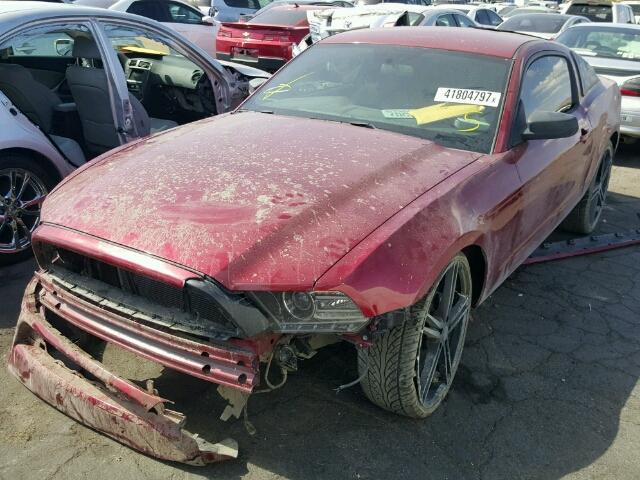 1ZVBP8AM7E5281256 - 2014 FORD MUSTANG RED photo 2