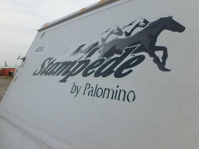 1PAT7201X6M006959 - 2006 PALO STAMPEDE WHITE photo 9