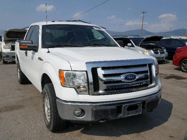 1FTFX1EV0AFC38056 - 2010 FORD F150 XLT WHITE photo 1