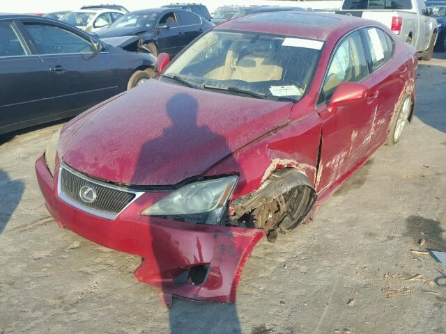 JTHBK262065005183 - 2006 LEXUS IS 250 RED photo 2