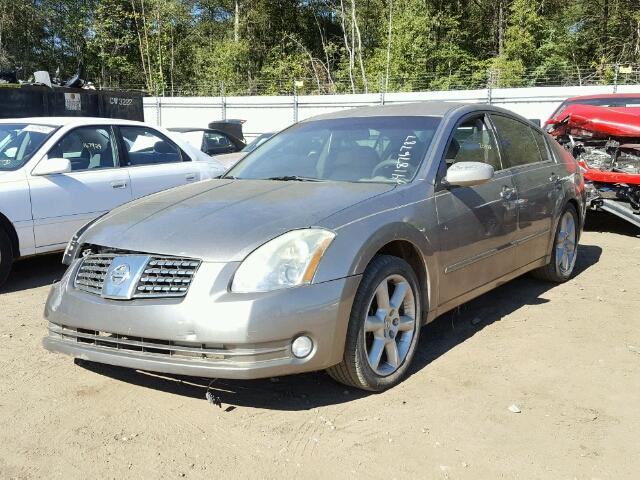 1N4BA41E74C844568 - 2004 NISSAN MAXIMA SE GOLD photo 2