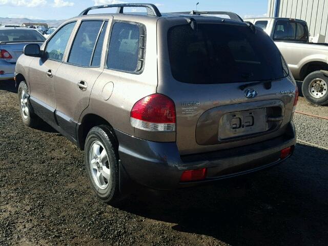 KM8SC13D25U914024 - 2005 HYUNDAI SANTA FE G BROWN photo 3