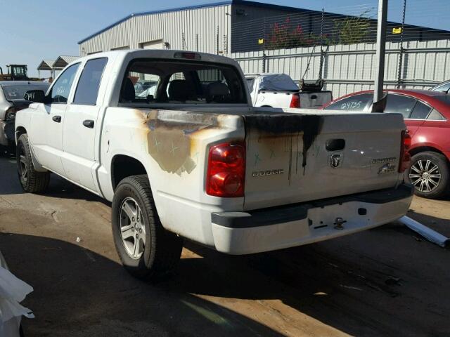 1D7RE3GK1BS553318 - 2011 DODGE DAKOTA SLT WHITE photo 3