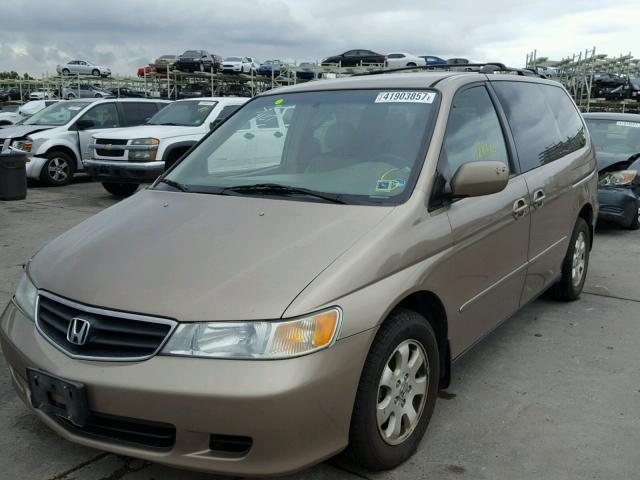 5FNRL18004B028025 - 2004 HONDA ODYSSEY EX GOLD photo 2