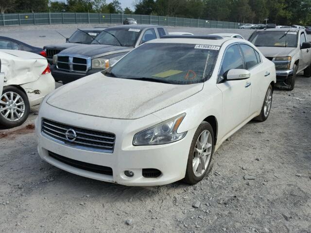 1N4AA51EX9C848333 - 2009 NISSAN MAXIMA S WHITE photo 2