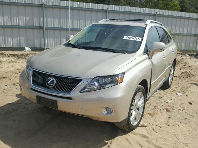 JTJBC1BA6C2433372 - 2012 LEXUS RX GOLD photo 2