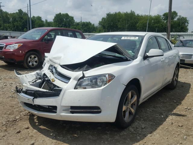 1G1ZC5EUXBF157650 - 2011 CHEVROLET MALIBU 1LT 白色 照片 2