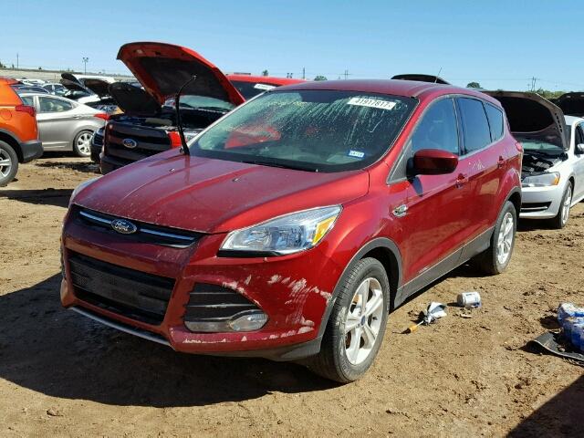 1FMCU0GX8GUA38644 - 2016 FORD ESCAPE RED photo 2