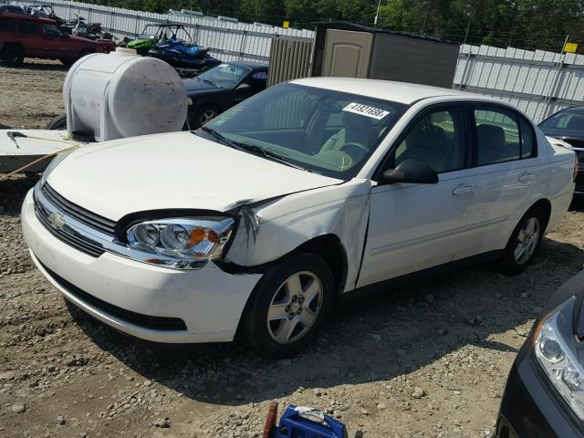1G1ZT54884F171523 - 2004 CHEVROLET MALIBU LS Ağ foto 2