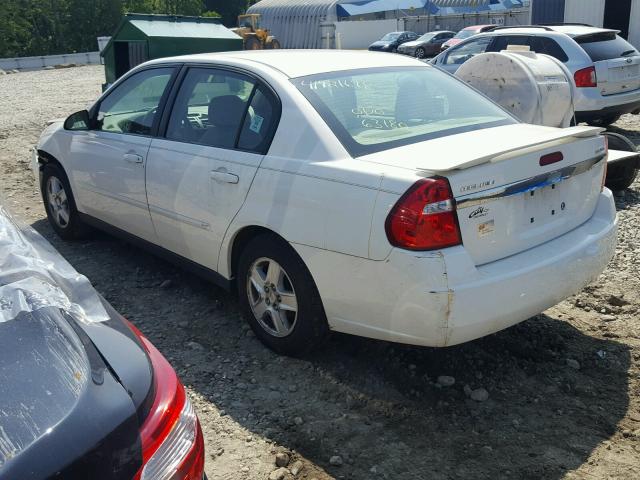1G1ZT54884F171523 - 2004 CHEVROLET MALIBU LS Ağ foto 3