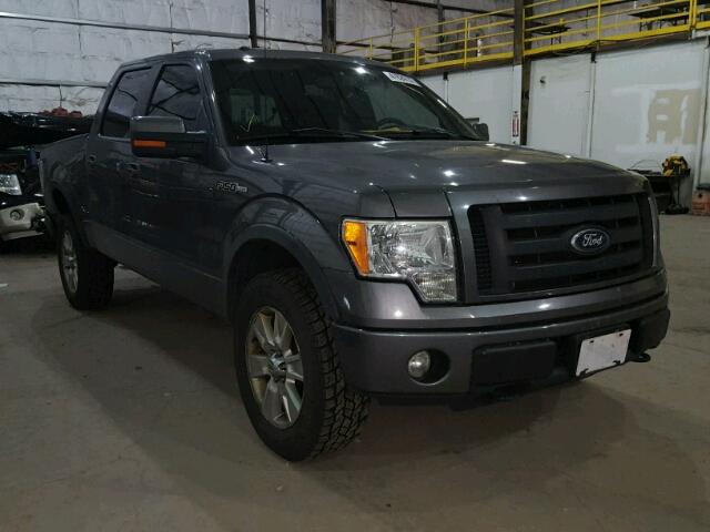 1FTFW1EV5AFA70059 - 2010 FORD F150 SUPER GRAY photo 1