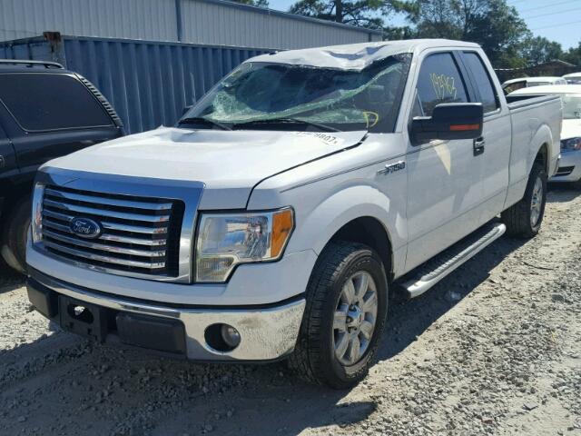 1FTEX1C83AFD22512 - 2010 FORD F150 SUPER WHITE photo 2