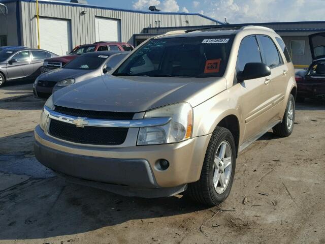 2CNDL73F756037767 - 2005 CHEVROLET EQUINOX LT GOLD photo 2