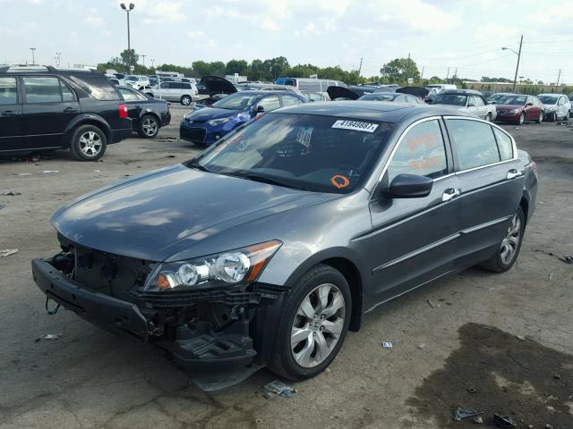1HGCP36829A041326 - 2009 HONDA ACCORD EXL Boz foto 2