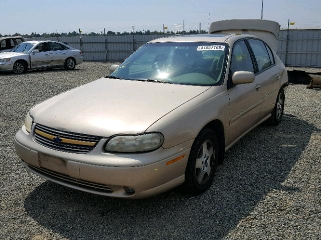 1G1NE52J72M666710 - 2002 CHEVROLET MALIBU LS ოქროსფერი ფოტო 2