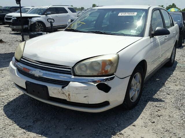 1G1ZT54845F162786 - 2005 CHEVROLET MALIBU LS 白色 照片 2