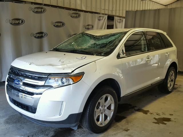 2FMDK3JC5DBE38843 - 2013 FORD EDGE WHITE photo 2