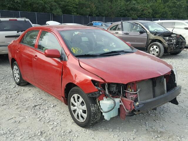 2T1BU4EE9AC293882 - 2010 TOYOTA COROLLA BA RED photo 1