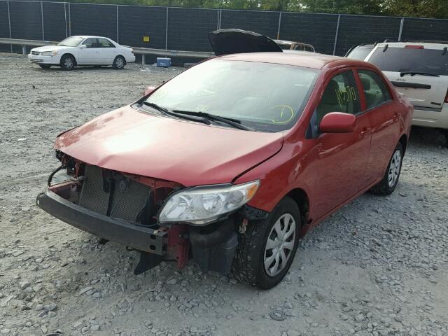 2T1BU4EE9AC293882 - 2010 TOYOTA COROLLA BA RED photo 2